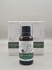 Huo Long Guan - Le pot du Dragon de Feu en céramique Zisha - en kit - Taille M