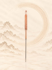 Aiguille de feu réutilisable
